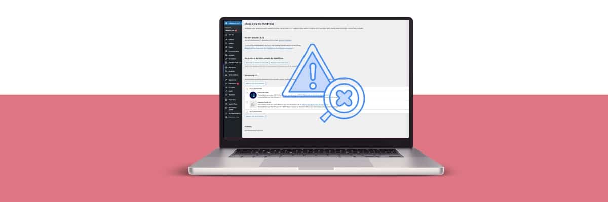 erreur mise à jour wordpress