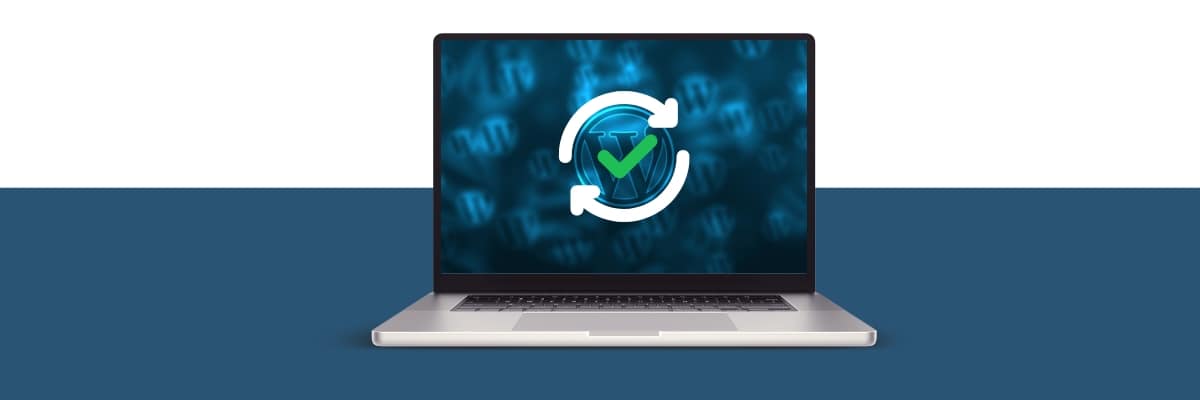 Aide pour mise à jour de site WordPress