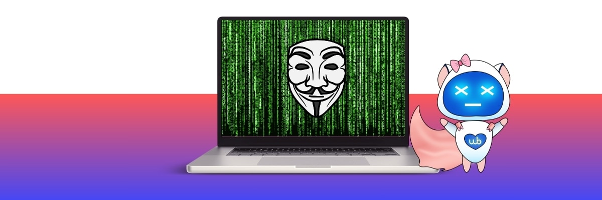 hack site internet