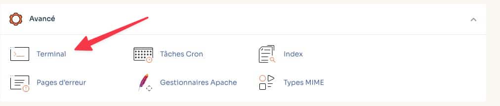 Menu Avancé du cPanel o2switch mettant en avant l'accès au Terminal SSH pour WordPress