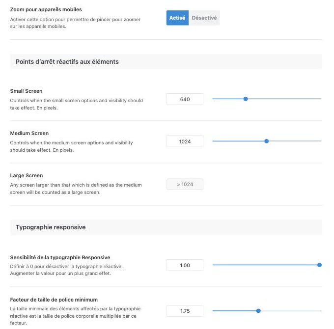 Points d'arrêt réactifs aux éléments et typographie responsive dans les options Avada 7.16