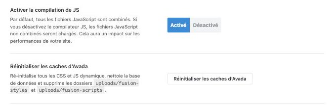 Bouton Réinitialiser les caches d'Avada dans les options Performance